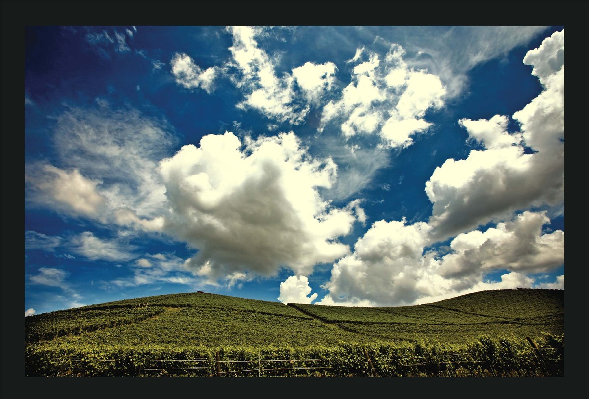 Sfondi naturali di Windows XP