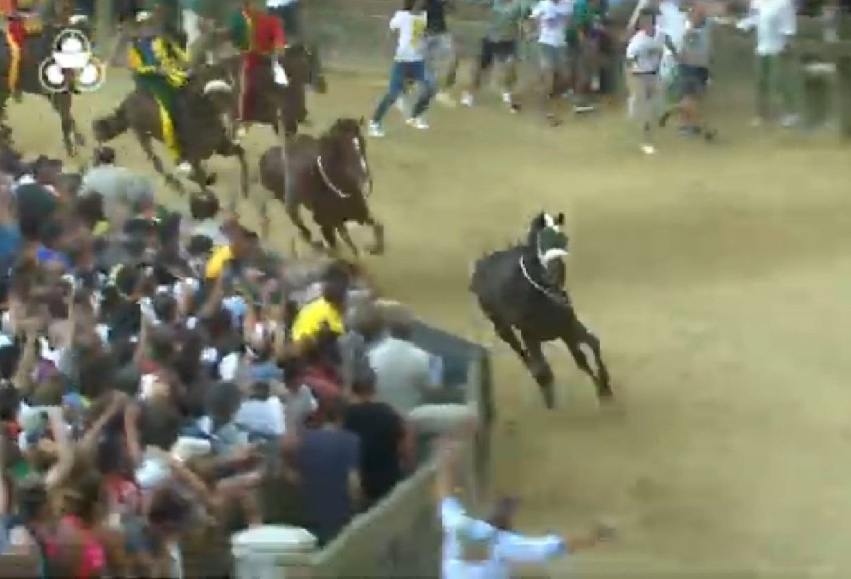 Carriera al cardiopalmo a Siena vince il cavallo scosso dell Oca