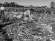 Il lavoro a Rocchetta secondo Maria Vittoria Backhaus