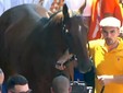 Ph. Consorzio di Tutela del Palio di Siena