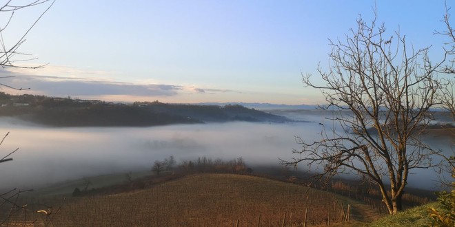 pH. Canale Telegram Dati Meteo Asti