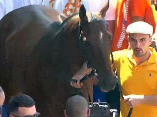 Ph. Consorzio di Tutela del Palio di Siena