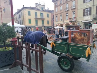 Alcune immagini della Fiera del Cappone che si è tenuta domenica