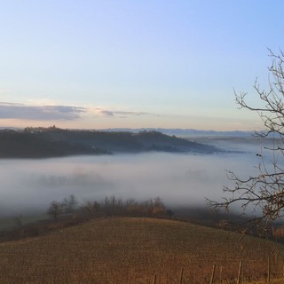 pH. Canale Telegram Dati Meteo Asti