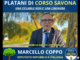 Coppo sui platani: &quot;Gli ambientalisti difendono gli alberi, ma quando c'è da parlare di aborto cosa fanno?&quot; Malandrone: &quot;Non tiri in mezzo certe questioni&quot;