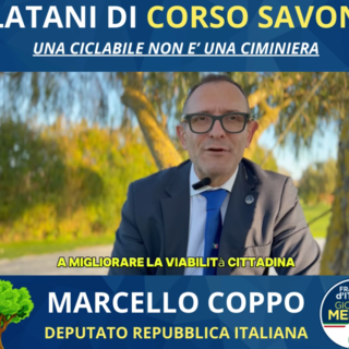 Coppo sui platani: &quot;Gli ambientalisti difendono gli alberi, ma quando c'è da parlare di aborto cosa fanno?&quot; Malandrone: &quot;Non tiri in mezzo certe questioni&quot;