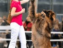 Petsfestival 2023: per la prima volta in Italia i Campionati Europei di Dog Dance