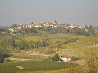 Maranzana e i suoi babaci