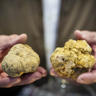 Viviamo in un posto bellissimo pieno di fiere del tartufo