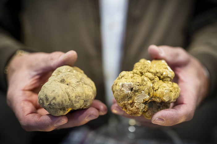 Viviamo in un posto bellissimo pieno di fiere del tartufo