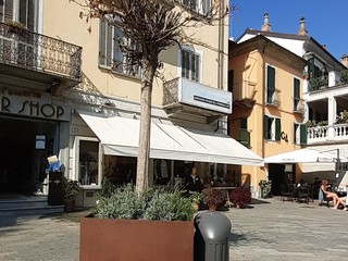 Albero secco in piazza Cavour