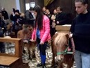 Domani alla parrocchia Santa Caterina di Asti una particolare messa per benedire gli animali