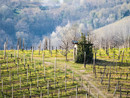 Bellezza naturale delle Colline Alfieri