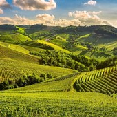 UNESCO e Turismo: Nizza e Canelli tra i centri trainanti della crescita nel Piemonte vitivinicolo