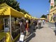 Al via a Castellero la quattro giorni dedicata alla nocciola dalla Fiera della nocciola allo Street food