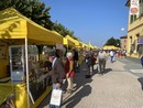 Al via a Castellero la quattro giorni dedicata alla nocciola dalla Fiera della nocciola allo Street food