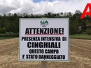 Caso di peste suina nell'Astigiano: Cia chiede intervento dell'esercito