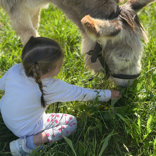 Family Experience tra natura e animali di Asintrekking