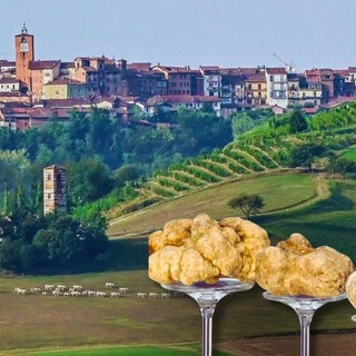 Montechiaro 'al lavoro' per una nuova edizione della Fiera Nazionale del Tartufo Bianco