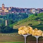 Montechiaro 'al lavoro' per una nuova edizione della Fiera Nazionale del Tartufo Bianco