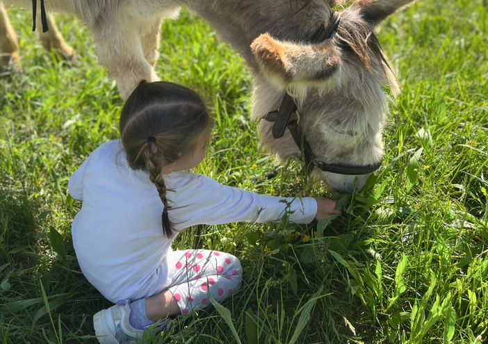 Family Experience tra natura e animali di Asintrekking