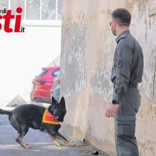 Guardie provinciali con il cane Hero -  (Ph. Merfephoto - Efrem Zanchettin)