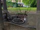 Giardini pubblici: a causa del forte vento un ramo cade in testa ad un ciclista