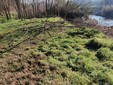 Immagini dei lavori in corso al parco Lungo Borbore