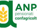 Il logo dell'ANPA