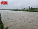 Una recente foto della piena del Tanaro. Il piano della Regione, però, è per la manutenzione dei corsi d'acqua regionali