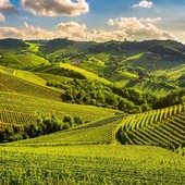 Paesaggi vitivinicoli dell'Astigiano