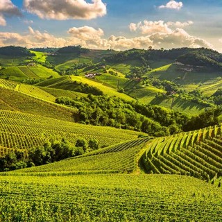 Paesaggi vitivinicoli dell'Astigiano