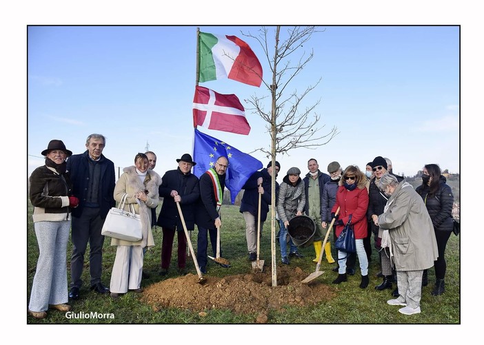 La prima quercia al Bosco degli astigiani