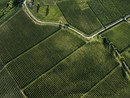 Convegno al World Tourism Event: sostenibilità per i paesaggi vitivinicoli del Piemonte