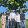 Boban è partner dell'Associazione Paulownia Piemonte per un futuro sempre più sostenibile del territorio