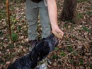 &quot;Tartufo, profumo di Piemonte&quot;: nell'Astigiano si inizia il primo ottobre a Montiglio