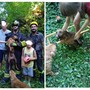Collage di immagini successive il salvataggio del cane caduto nel pozzo