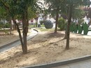 Foto che documentano la siccità nel giardini Alganon prospicienti piazza Roma