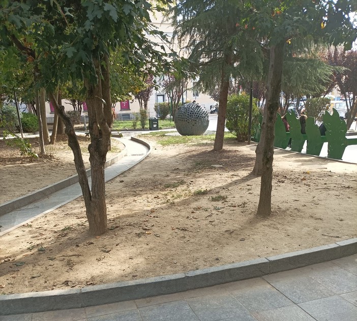 Foto che documentano la siccità nel giardini Alganon prospicienti piazza Roma