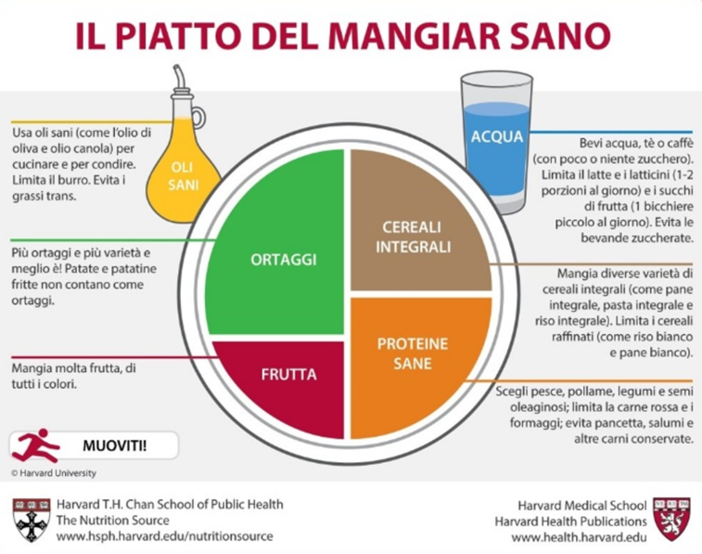 L'importanza di educare per prevenire