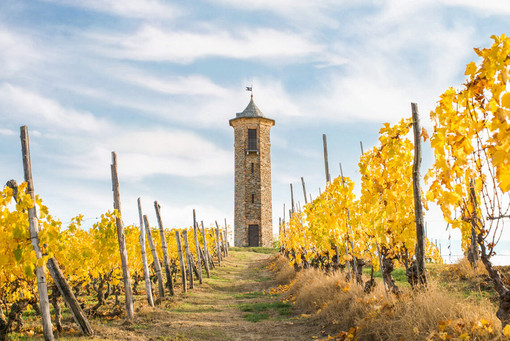 Torre dei Contini a Canelli