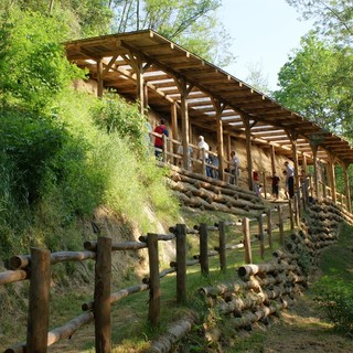 Uno degli affioramenti fossiliferi della Riserva di Valle Andona