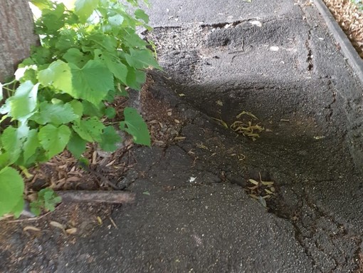 Un tratto di marciapiede in via Robino