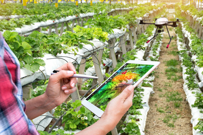 La digitalizzazione del Quaderno di campagna solleva dubbi e perplessità tra gli agricoltori