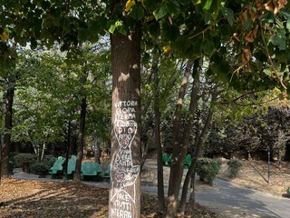 Uno degli alberi del giardino inzozzato da scritte spray