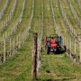 Gasolio agricolo, la richiesta di Coldiretti Piemonte: &quot;Spostare la data della giacenza minima&quot;