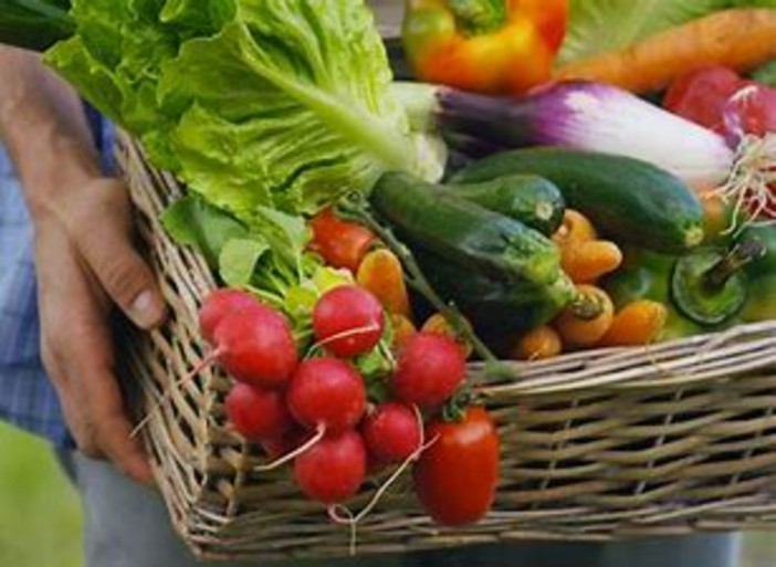 In Italia boom dell'agricoltura bio, ma attenzione alle frodi