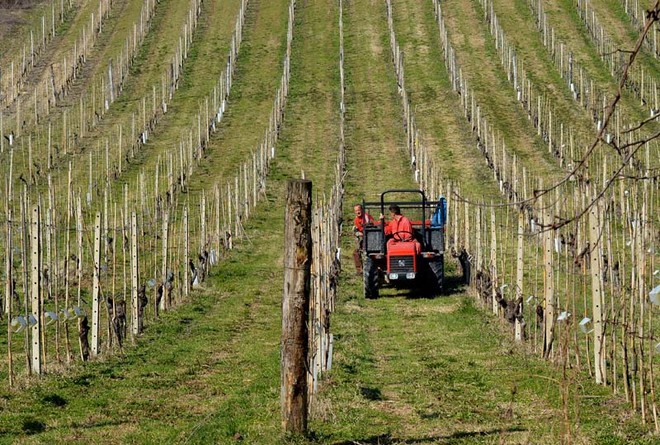 Gasolio agricolo, la richiesta di Coldiretti Piemonte: &quot;Spostare la data della giacenza minima&quot;