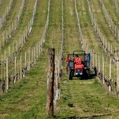 Gasolio agricolo, la richiesta di Coldiretti Piemonte: &quot;Spostare la data della giacenza minima&quot;