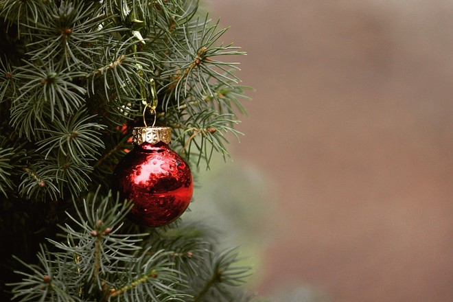 Tradizione e divertimento: questo fine settimana si celebra l'Immacolata nell'Astigiano